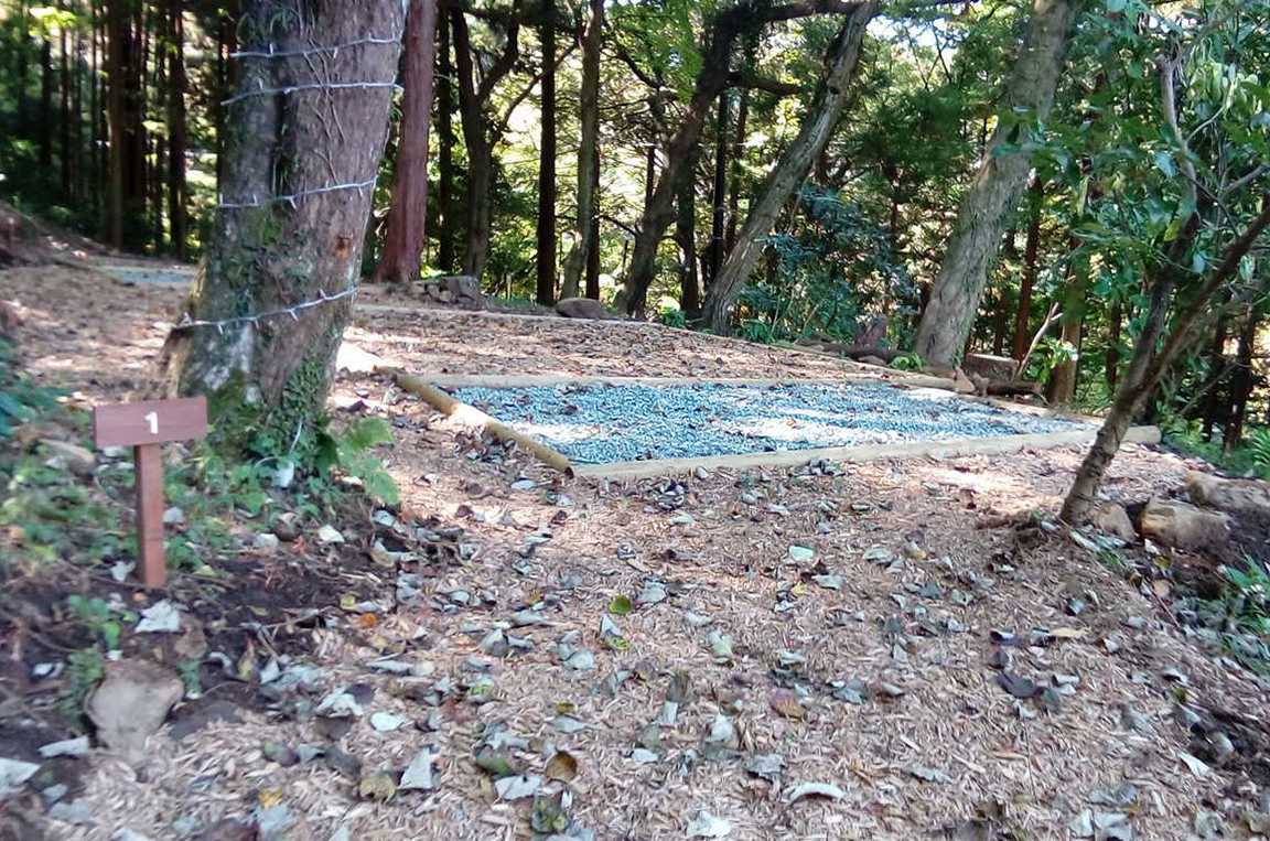 箱根の森キャンプ